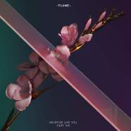 Never Be Like You - Flume ft. Kai